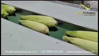 Flow Wrap vegetables | Horizontal Flow Wrap Machine | flow wrap for multipal size