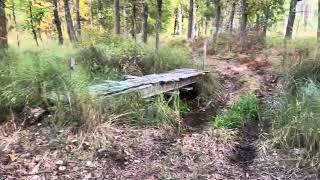 2023 CFORCE 500 Trails Thru Woods Start of Fall Leaves Turning