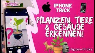 iPhone-Trick: Pflanzen, Tiere & Gebäude erkennen!