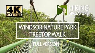 [4K] Windsor Nature Park to TreeTop Walk Macritchie - Hiking Singapore