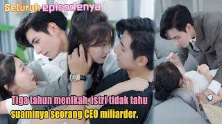 Tiga tahun menikah, istri tidak tahu suaminya seorang CEO miliarder.