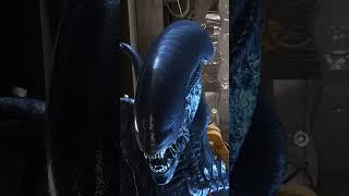 that looks like uhh.....................