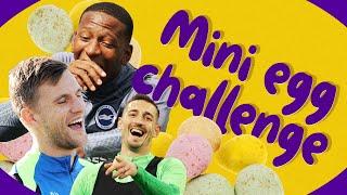 Mini Egg CHALLENGE!