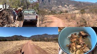 ALMUERZO en familia️+REGANDO las PLANTASde doña CELIA#paisaje #mividaenelrancho