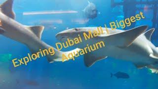 Dubai Mall Aquarium | Kids Tour | Isda parin 