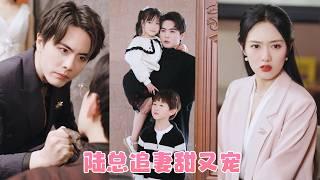 After a one-night stand, she returned home with twins and was spoiled by the CEO!