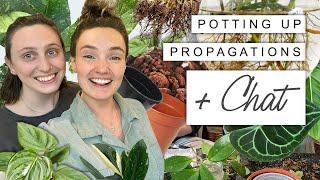 Pot Propagations With Us + Chill  Repot and Chat With @GoodGrowing