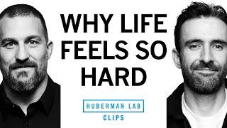 The Science of First World Problems | Michael Easter & Dr. Andrew Huberman