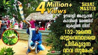 Vava Suresh rescues 152nd King Cobra from Oorali Appooppan Kavu tree top | Snakemaster | EP 420