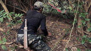 Chạy Ngay Đi Nó Qoánh Anh Rồi  / find food camping in the jungle