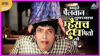 अहो पैलवान तुमच्याच म्हैसच दूध पितो तो | तुमचं आमचं जमलं Tumcha Aamcha Jamla | Dada Kondke Movie