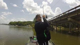 Advanced Angler On The Water Episode 2 with Dan O'Sullivan