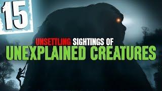 15 Unexplained Creature Sightings with Forest Sounds and Water Sound Effects - Darkness Prevails