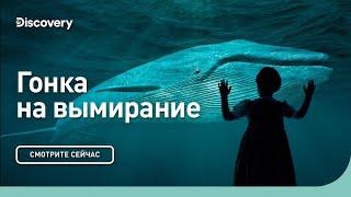 Гонка на вымирание | Премьера | Discovery