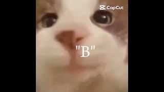 #roblox