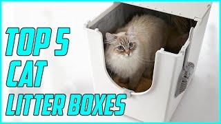 5 Best Cat Litter Boxes for 2023