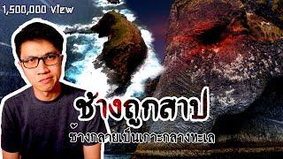 ช้างกลายเป็นหิน นอนอยู่กลางทะเล | เรื่องมันสั้น Elephant Rock