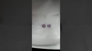 #Natural pink sapphire ceylon stone 2.60 carat per carat 3500/-1.90 carat ler carat 2800/- per carat