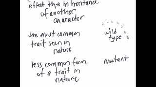 PB1 10 wild type and mutant #darrellbarnes