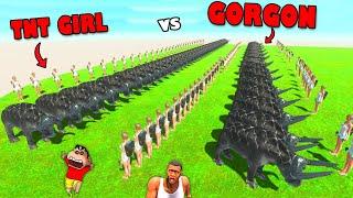 50 TNT Girls vs 50 GORGONS in Animal Revolt Battle Simulator with SHINCHAN and CHOP