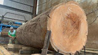 Amazing Raw Wood Sawmill // Operating Extra Large Saws, Beautifully Sawing Planks