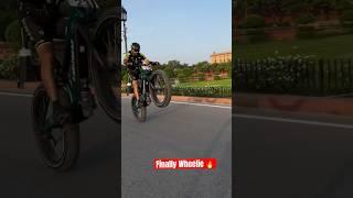 Finally Did Wheelie on my ₹5 Lakh Electric Fatbike