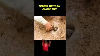 Fishing with an alligator #fishing #outdoors #shorts #viral