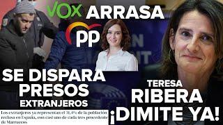 ¡VOX ARRASA AL PP DE AYUSO, SE DISPARAN LOS PRESOS EXTRANJEROS Y TERESA RIBERA DIMITE YA!