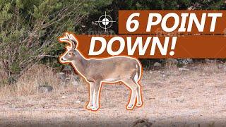 Texas Whitetail Deer Hunting | Patton shoots an old 6 point | Solo Hunt