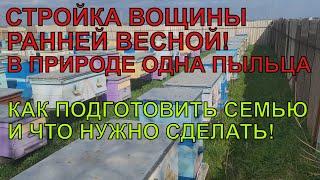 СТРОЙКА ВОЩИНЫ РАННЕЙ ВЕСНОЙ в природе одна пыльца возможно или нет ЭКСПЕРЕМЕНТ НА ПАСЕКЕ ️