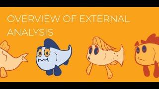 External Analysis Overview