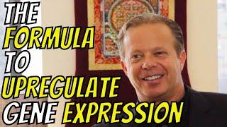 JOE DISPENZA - THE FORMULA TO UPREGULATE GENE EXPRESSION