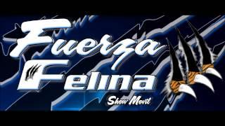 SALSA FUERZA FELINA VOL 1