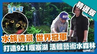 台灣第一等【水族造景活體藝術 打造921地震堰塞湖水漾森林】台北 _精選版