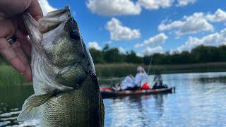 End of September Largemouth Bass FALL fishing! StrayCaster 2023 FLUKES & TOPWATER Texas Bass