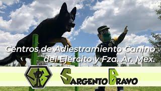 Centro de Adiestramiento Canino del #EjéMx y #FAMx