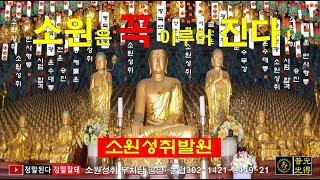 정말된다 소원성취 / BoGwangTemple님의 실시간 스트림