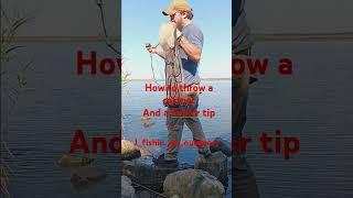 How to throw a cast net J's way #fishing #castnetfishing