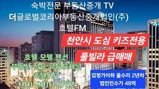 [물건번호 133번] 천안시 도심 키즈전용풀빌라 / 감정가이하 48억 / 월매출 최고 1억 / 법인인수가