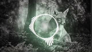 Sloaww - Frequency Fox | DnB | NoCopyrightMusic