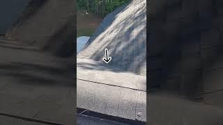 Don't make this amateur mistake when walking on a roof... ‍️