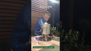 Беркут