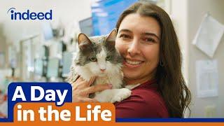 A Day in the Life of a Veterinarian | Indeed