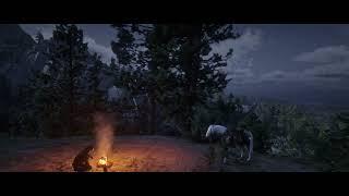 Red Herlith YT Channel's Find: Dead Man's Treasure  RDR2