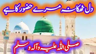 New Naat 2024 || Dil thikana mere Huzoor ka || Yaad e Madina Naat || Nigah -e-Urdu Naat 2024