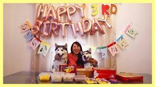 MY 2 HUSKIES CELEBRATED THEIR 3RD BIRTHDAY (DOG BORKDAY PAWTY PHILIPPINES)