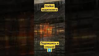 9 Фантомный поселок Потерянный сектор STALKER аудиокнига Александра Родина #аудиокнига #сталкер