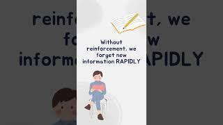 Memory Mastery: Unveiling the Secrets of the Forgetting Curve #study #sharpcookie #memory