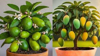 Best Creative 6 Ideas for Lemon, Banana, Rose, Tomato, Mango And Dragon fruits at home