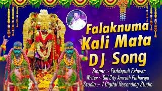 Falaknuma Kali Mata Dj Song | Chettu Kinda Dorasani | Old City Amruth Potharaju | Peddapuli Eshwar